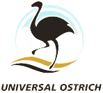 Universal Ostrich Logo